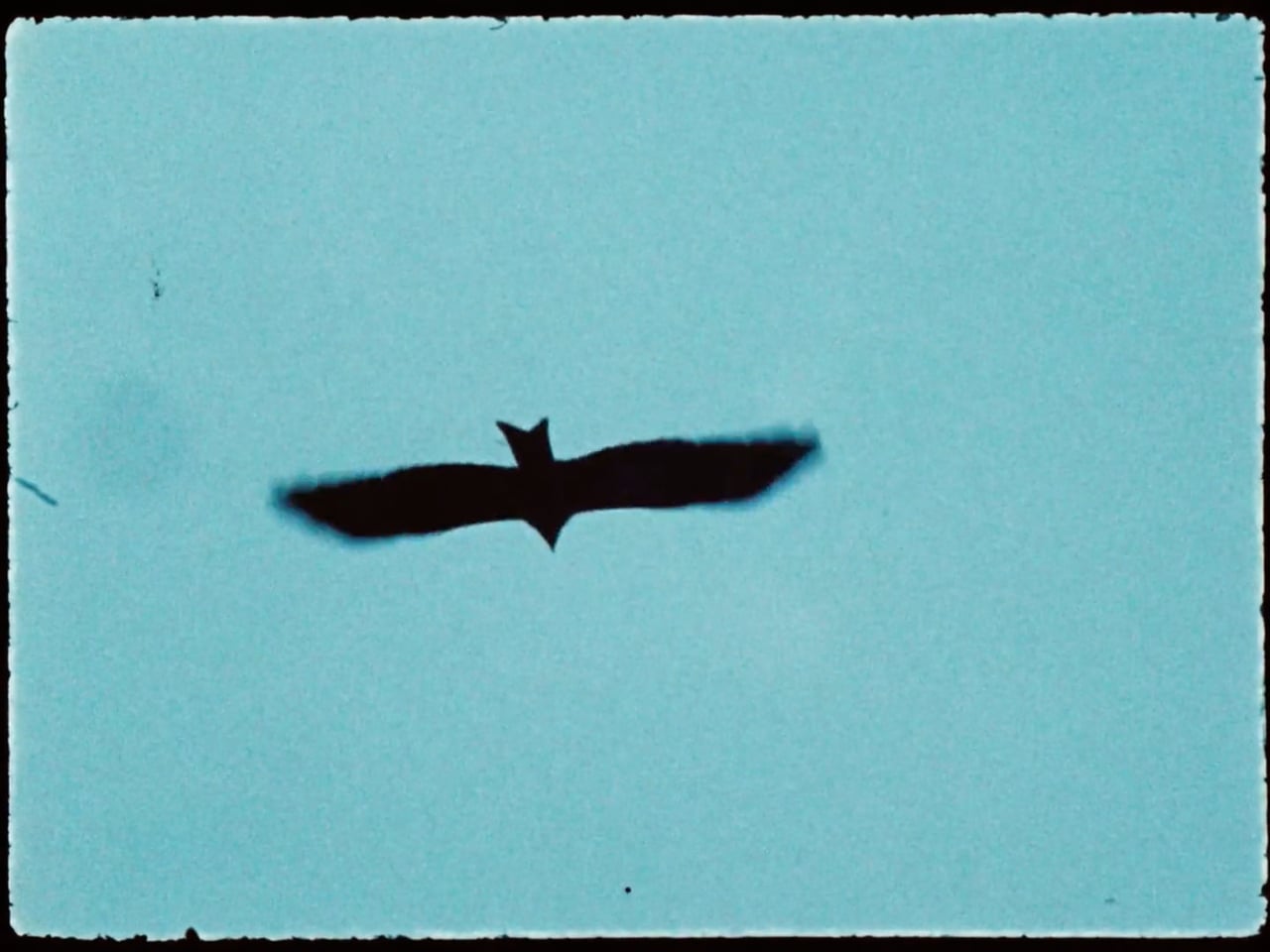 Art Film — Revival, directed by Daniil X