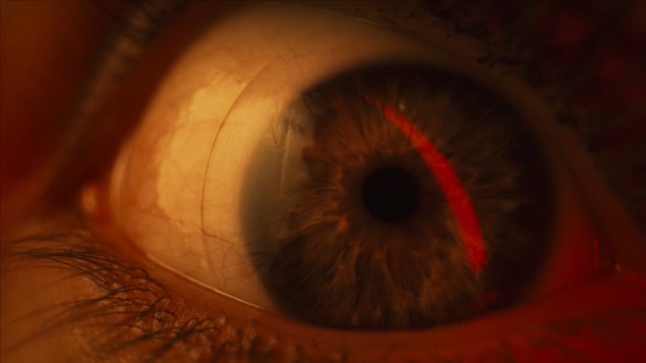 Campaign — Wolfram, directed by Daniil X
